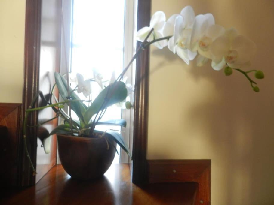 Jp Guest House Aveiro Dış mekan fotoğraf